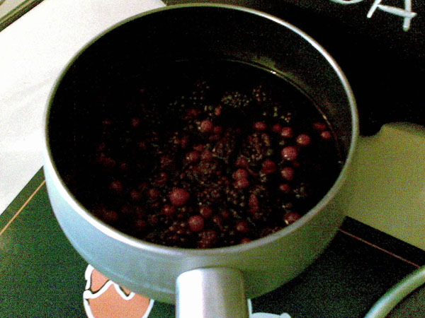 I frutti di bosco